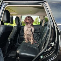 Bezpečnostní pás na vodítko psa