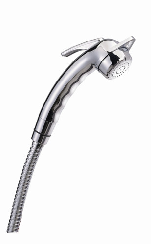Sprchová hlavice CHARISMA chrom